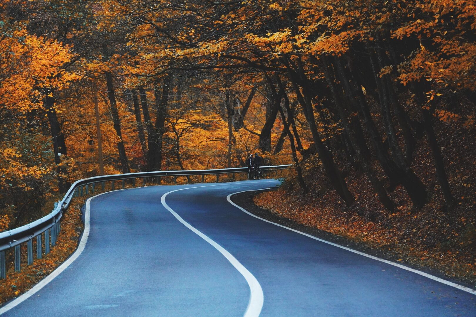 Fall-Road